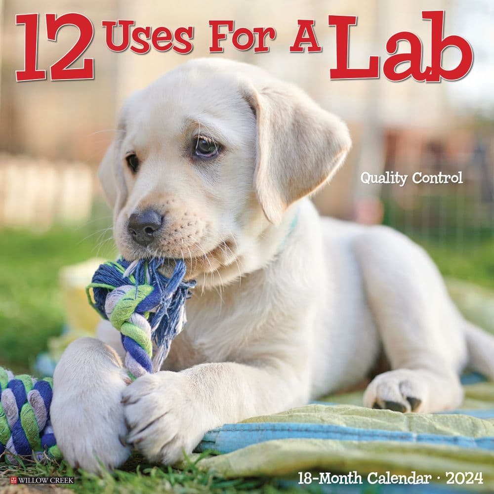 12 Uses For a Lab 2024 Wall Calendar - Calendars.com