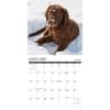 image Lab 12 Uses 2024 Wall Calendar Interior Image width=&quot;1000&quot; height=&quot;1000&quot;