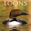 image Loons 2024 Wall Calendar Main Image width=&quot;1000&quot; height=&quot;1000&quot;