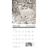 image Life in the Northwoods 2024 Wall Calendar Interior Image width=&quot;1000&quot; height=&quot;1000&quot;