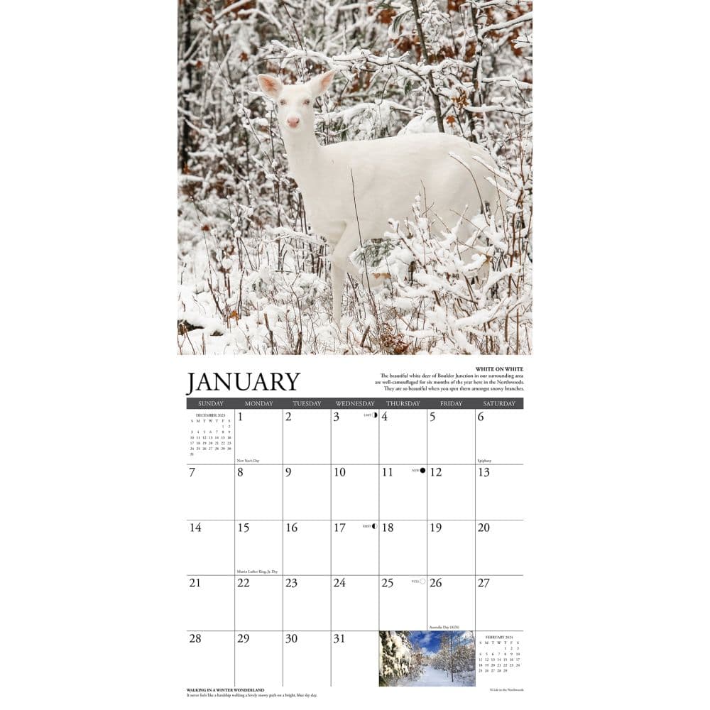 Life in the Northwoods 2024 Wall Calendar Interior Image width=&quot;1000&quot; height=&quot;1000&quot;