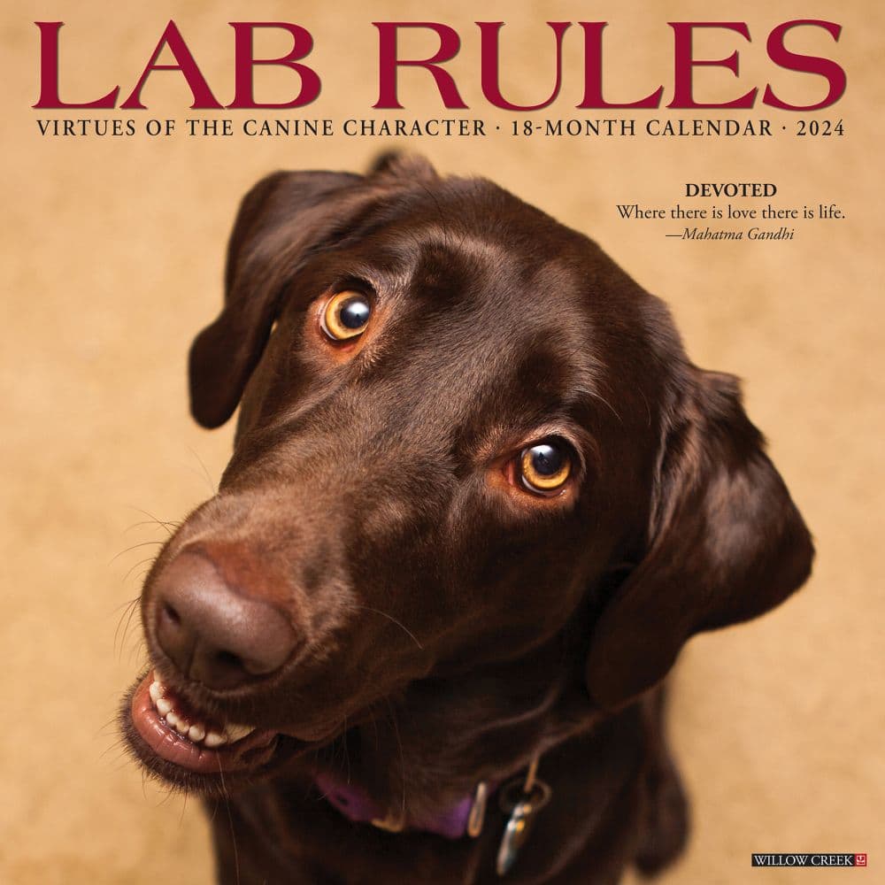 Lab Rules 2024 Wall Calendar Calendars Com   202400003787 