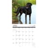 image Lab Rules 2024 Wall Calendar Interior Image width=&quot;1000&quot; height=&quot;1000&quot;