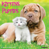image Kittens &amp; Puppies 2024 Wall Calendar Main Image width=&quot;1000&quot; height=&quot;1000&quot;