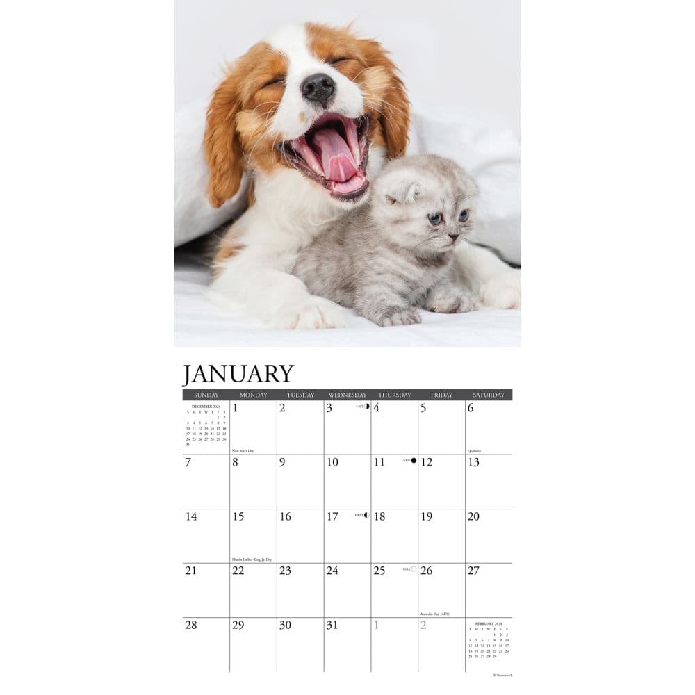 Kittens &amp; Puppies 2024 Wall Calendar Interior Image width=&quot;1000&quot; height=&quot;1000&quot;