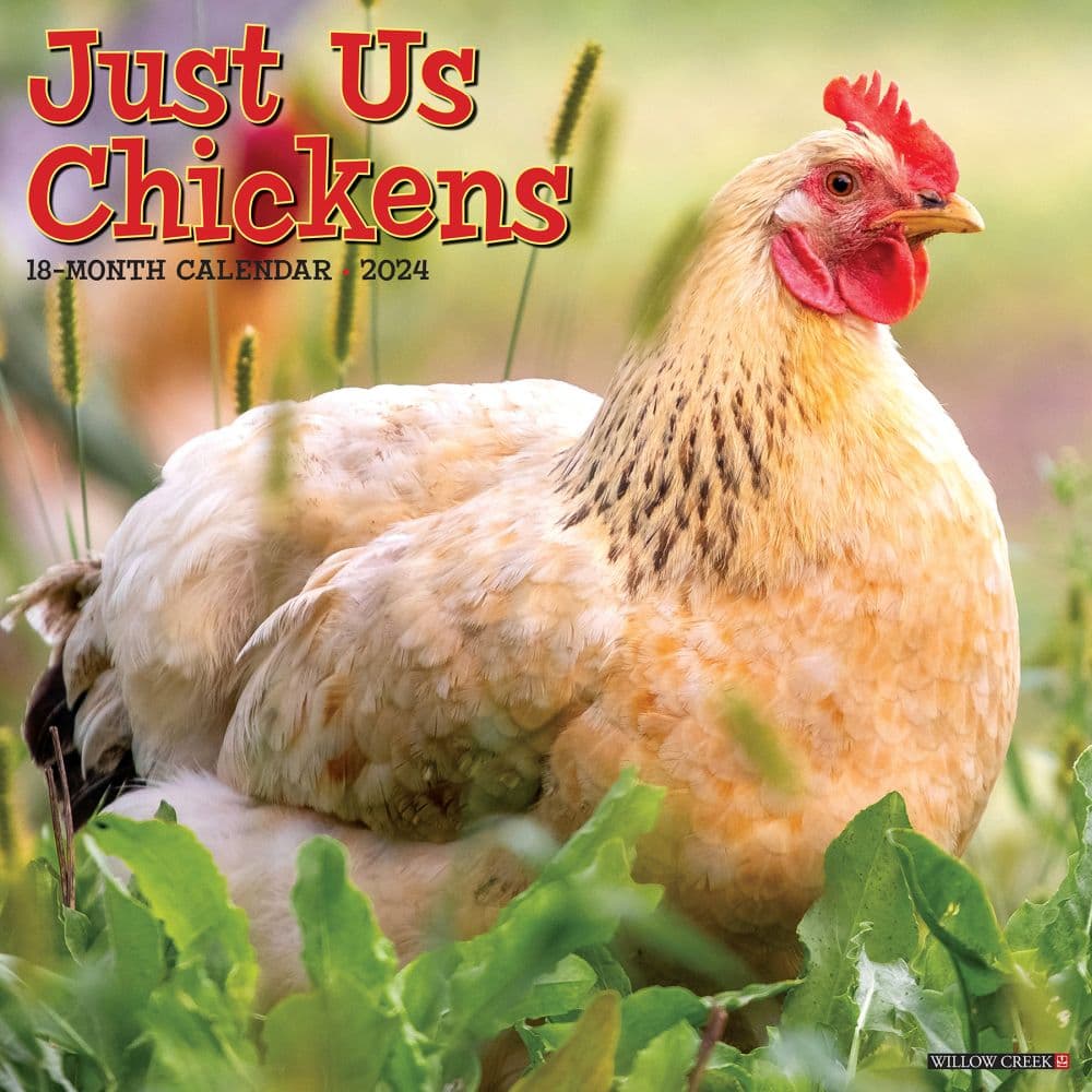 Just Chickens 2024 Wall Calendar Main Image width=&quot;1000&quot; height=&quot;1000&quot;