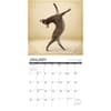image Jackass Yoga 2024 Wall Calendar Interior Image width=&quot;1000&quot; height=&quot;1000&quot;