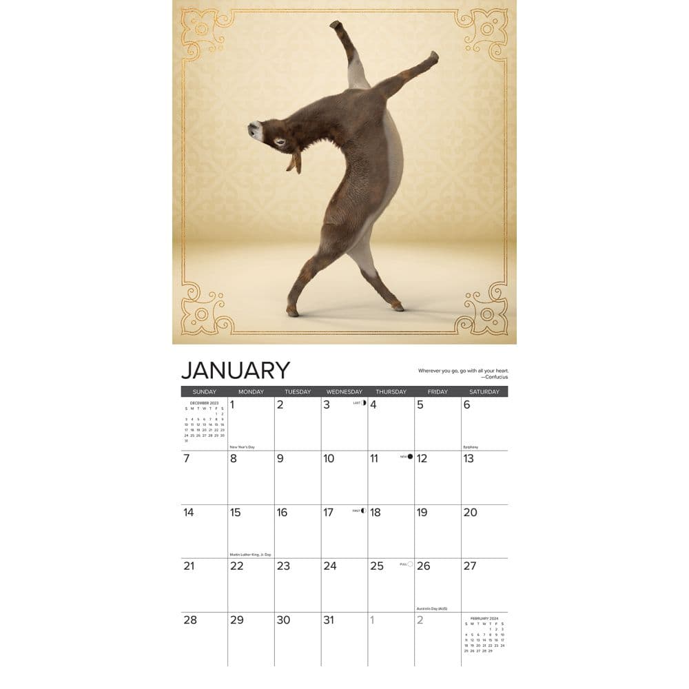 Jackass Yoga 2024 Wall Calendar Interior Image width=&quot;1000&quot; height=&quot;1000&quot;