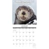 image In Otter News 2024 Wall Calendar Interior Image width=&quot;1000&quot; height=&quot;1000&quot;