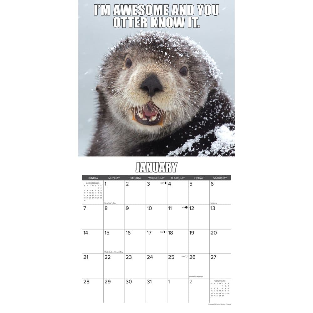 In Otter News 2024 Wall Calendar Interior Image width=&quot;1000&quot; height=&quot;1000&quot;