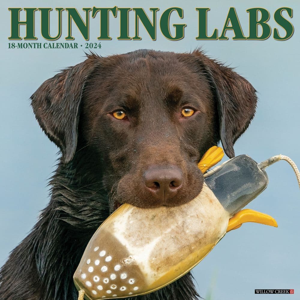 Hunting Labs 2024 Wall Calendar