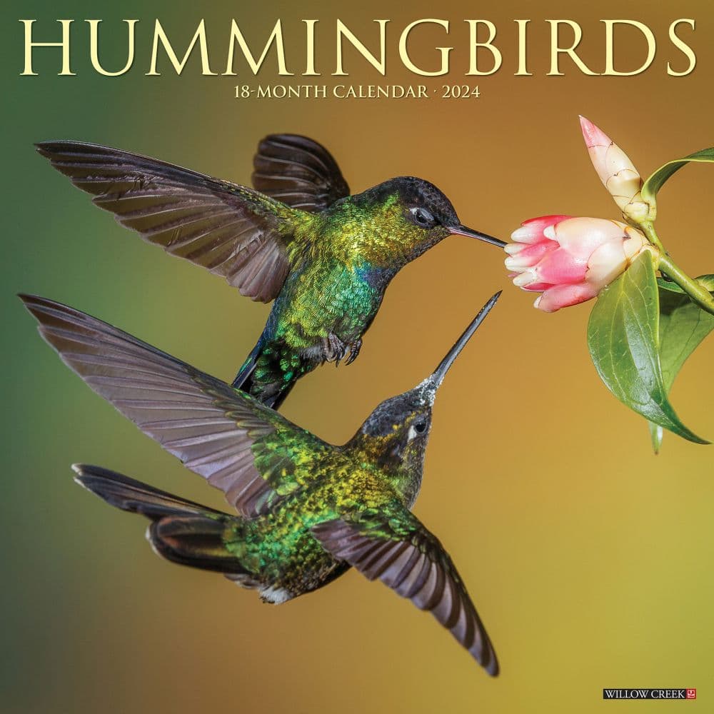 Hummingbirds 2024 Wall Calendar Main Image width=&quot;1000&quot; height=&quot;1000&quot;