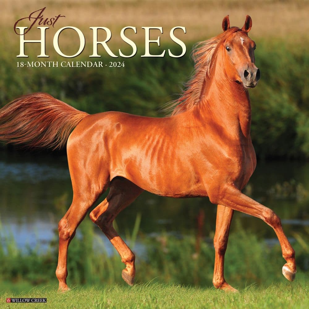 Just Horses 2024 Wall Calendar