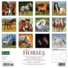 image Horses Just 2024 Wall Calendar Back of Calendar width=&quot;1000&quot; height=&quot;1000&quot;