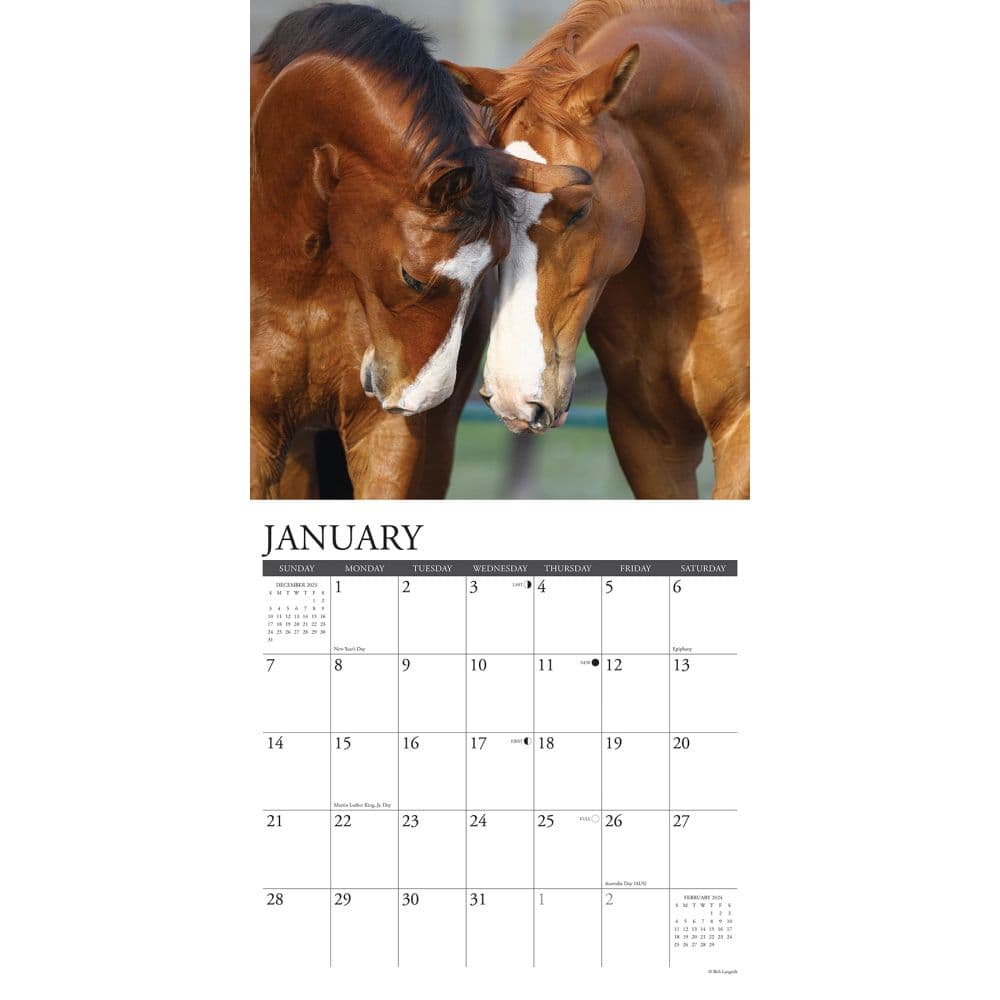 Horses Just 2024 Wall Calendar Interior Image width=&quot;1000&quot; height=&quot;1000&quot;