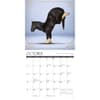 image Horse Yoga 2024 Wall Calendar Interior Image width=&quot;1000&quot; height=&quot;1000&quot;