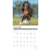 image Horse Feathers 2024 Wall Calendar Interior Image width=&quot;1000&quot; height=&quot;1000&quot;