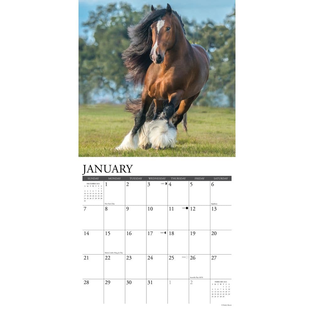 Horse Feathers 2024 Wall Calendar Interior Image width=&quot;1000&quot; height=&quot;1000&quot;