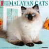 image Himalayan Cats 2024 Wall Calendar Main Image width=&quot;1000&quot; height=&quot;1000&quot;