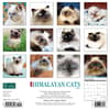 image Himalayan Cats 2024 Wall Calendar Back of Calendar width=&quot;1000&quot; height=&quot;1000&quot;