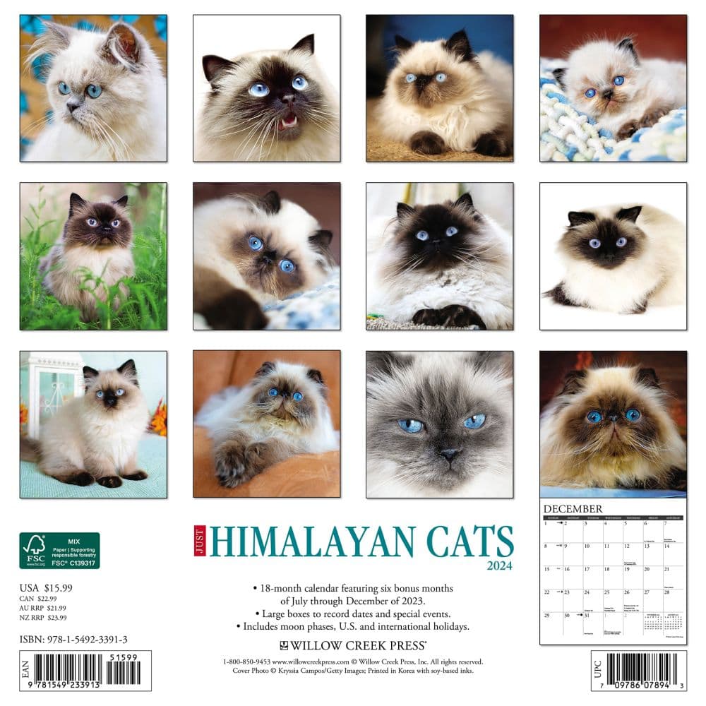 Himalayan Cats 2024 Wall Calendar Back of Calendar width=&quot;1000&quot; height=&quot;1000&quot;