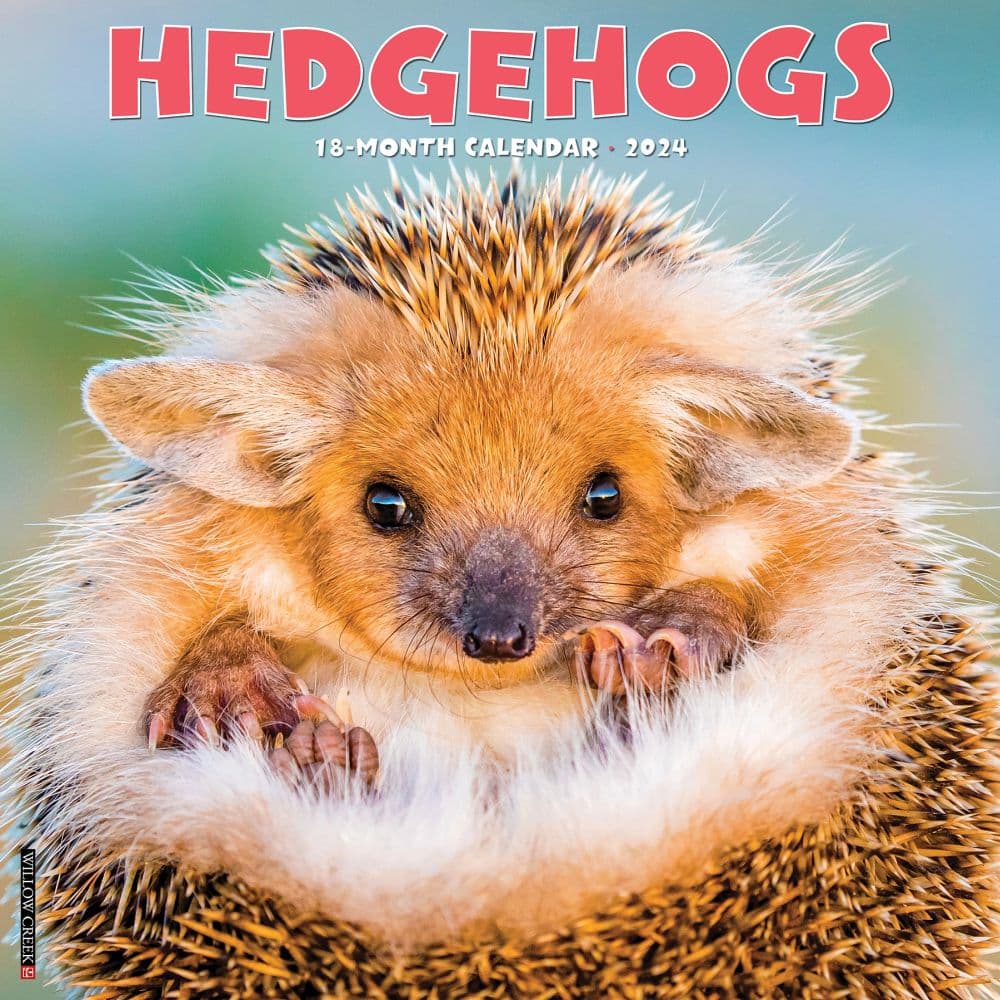 Hedgehogs 2024 Wall Calendar Main Image width=&quot;1000&quot; height=&quot;1000&quot;