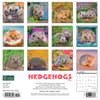 image Hedgehogs 2024 Wall Calendar Back of Calendar width=&quot;1000&quot; height=&quot;1000&quot;