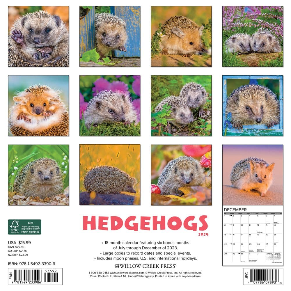 Hedgehogs 2024 Wall Calendar Back of Calendar width=&quot;1000&quot; height=&quot;1000&quot;