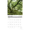 image Heaven Has a Forest 2024 Wall Calendar Interior Image width=&quot;1000&quot; height=&quot;1000&quot;