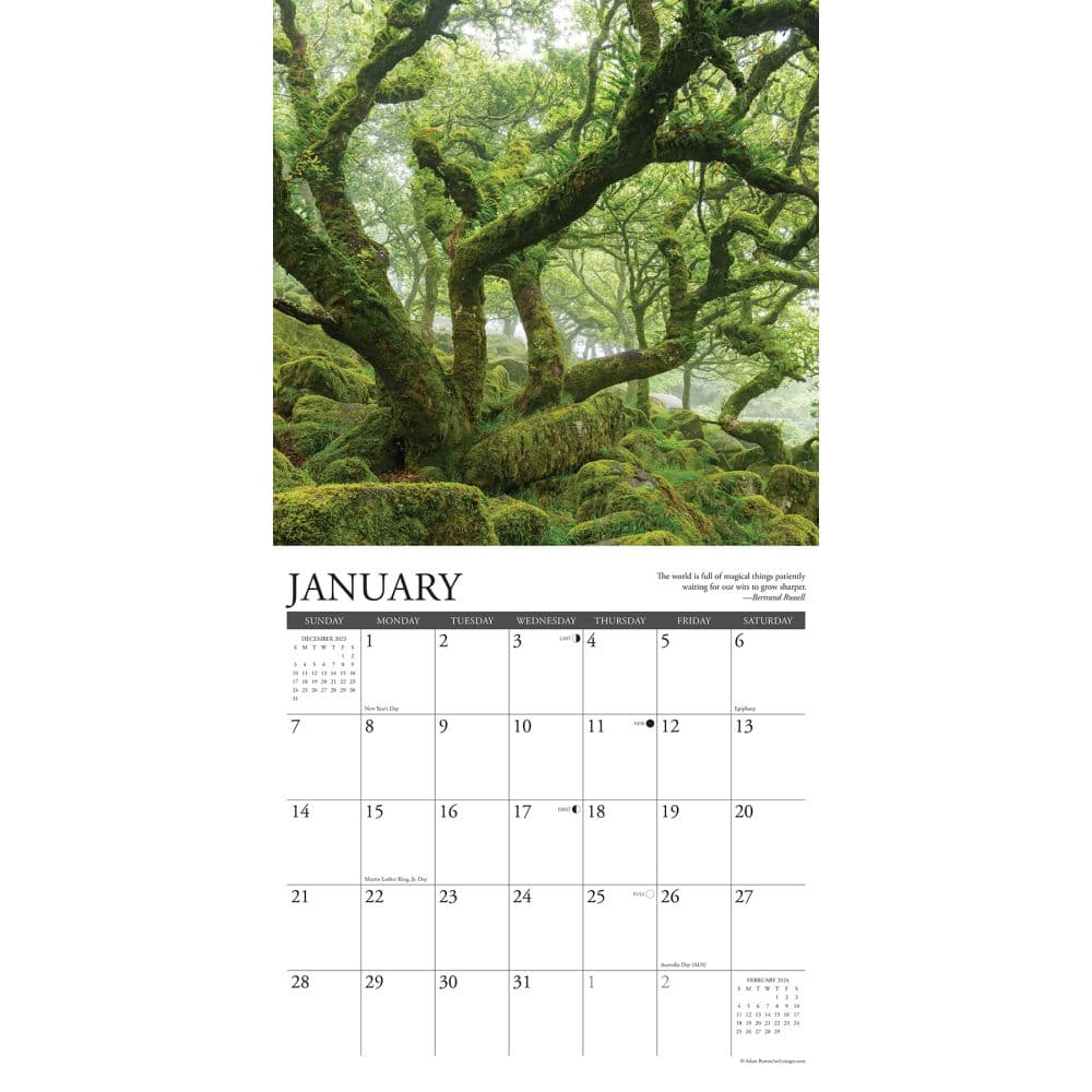 Heaven Has a Forest 2024 Wall Calendar Interior Image width=&quot;1000&quot; height=&quot;1000&quot;