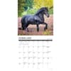 image Horse Happiness Is 2024 Wall Calendar Interior Image width=&quot;1000&quot; height=&quot;1000&quot;