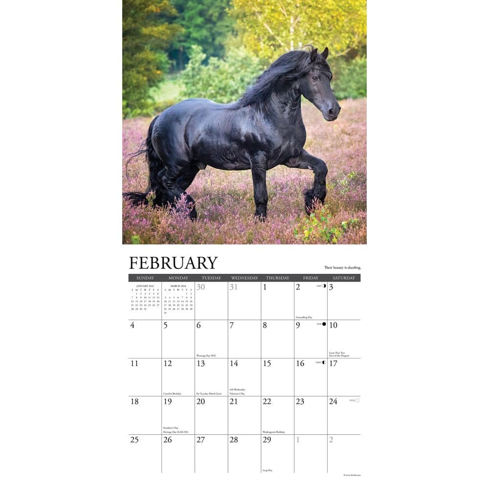 Horse Happiness Is 2024 Wall Calendar Interior Image width=&quot;1000&quot; height=&quot;1000&quot;