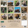 image Bears Grizzly 2024 Wall Calendar Back of Calendar width=&quot;1000&quot; height=&quot;1000&quot;