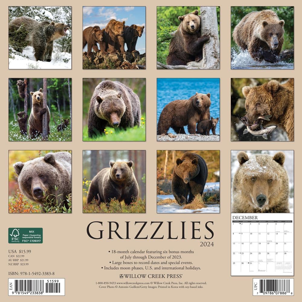 Bears Grizzly 2024 Wall Calendar Back of Calendar width=&quot;1000&quot; height=&quot;1000&quot;