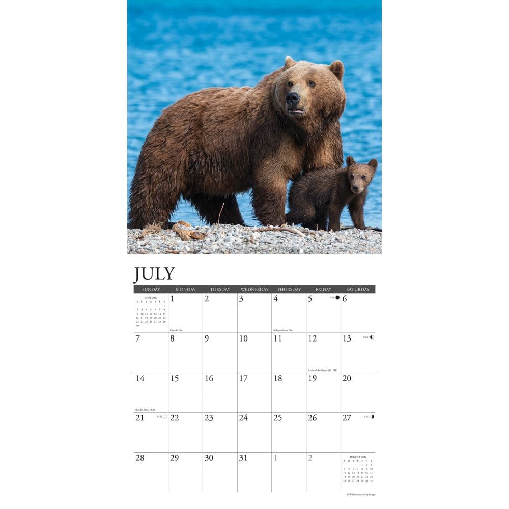 Bears Grizzly 2024 Wall Calendar Interior Image width=&quot;1000&quot; height=&quot;1000&quot;