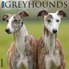 image Greyhound Just 2024 Wall Calendar Main Image width=&quot;1000&quot; height=&quot;1000&quot;