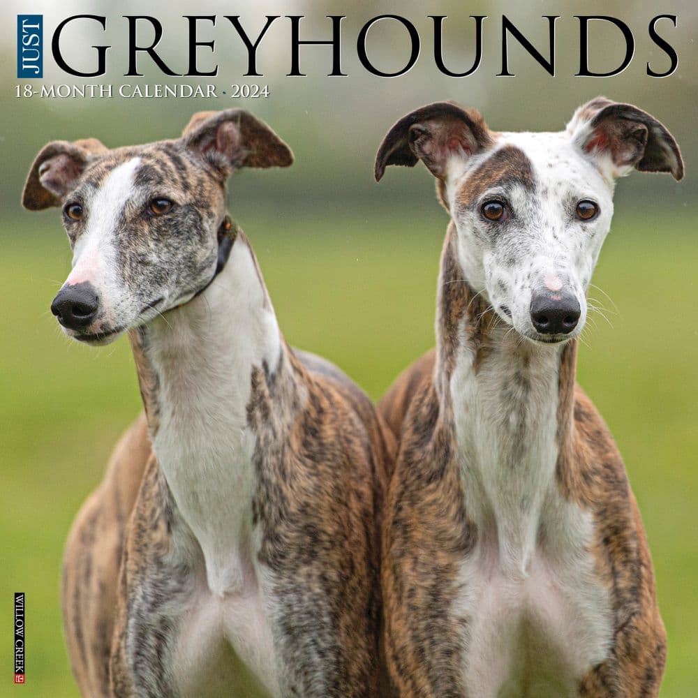 Greyhound Just 2024 Wall Calendar Main Image width=&quot;1000&quot; height=&quot;1000&quot;