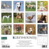 image Greyhound Just 2024 Wall Calendar Back of Calendar width=&quot;1000&quot; height=&quot;1000&quot;