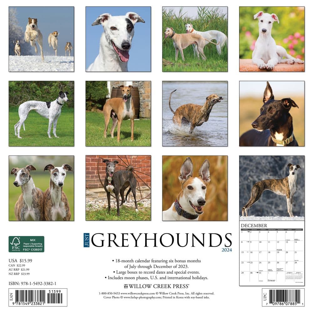 Greyhound Just 2024 Wall Calendar Back of Calendar width=&quot;1000&quot; height=&quot;1000&quot;