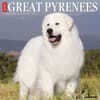 image Great Pyrenees 2024 Wall Calendar Main Image width=&quot;1000&quot; height=&quot;1000&quot;