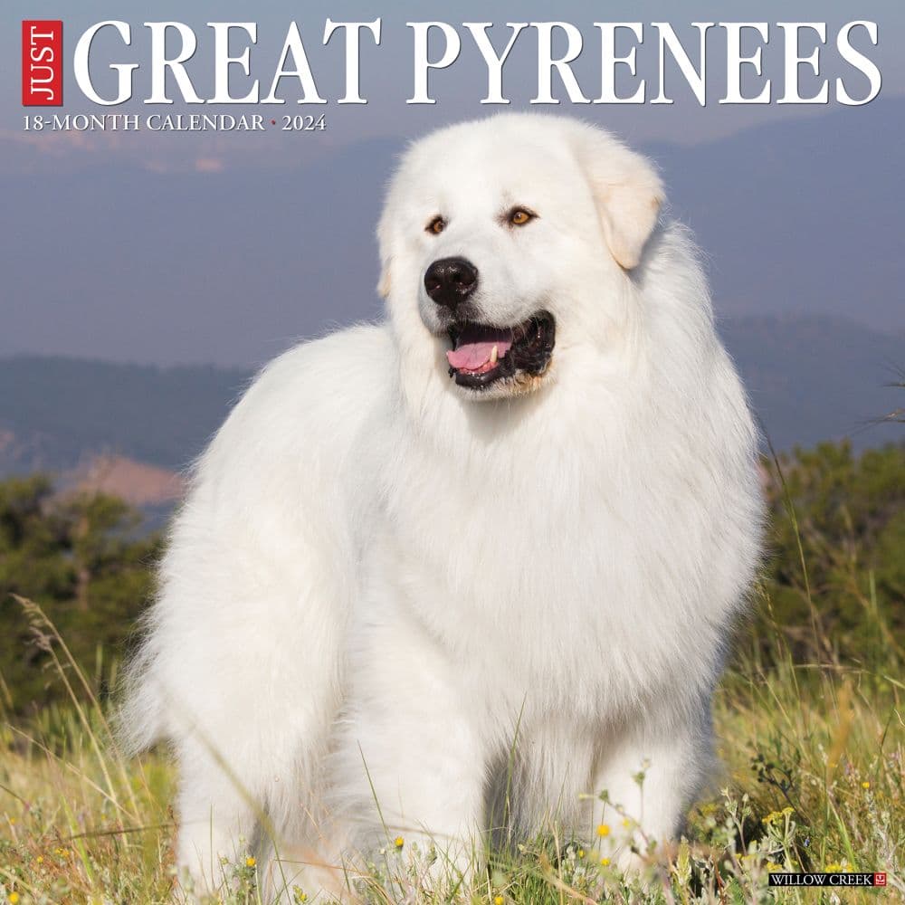 Great Pyrenees 2024 Wall Calendar Main Image width=&quot;1000&quot; height=&quot;1000&quot;