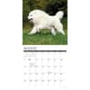image Great Pyrenees 2024 Wall Calendar Interior Image width=&quot;1000&quot; height=&quot;1000&quot;
