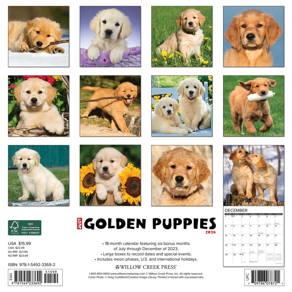 Just Golden Puppies 2024 Wall Calendar Back of Calendar width=&quot;1000&quot; height=&quot;1000&quot;