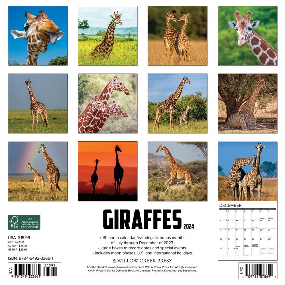 Giraffes 2024 Wall Calendar