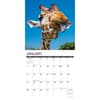 image Giraffes 2024 Wall Calendar Interior Image width=&quot;1000&quot; height=&quot;1000&quot;