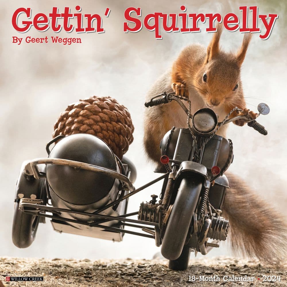 Getting Squirrelly 2024 Wall Calendar Calendars Com   202400003843 