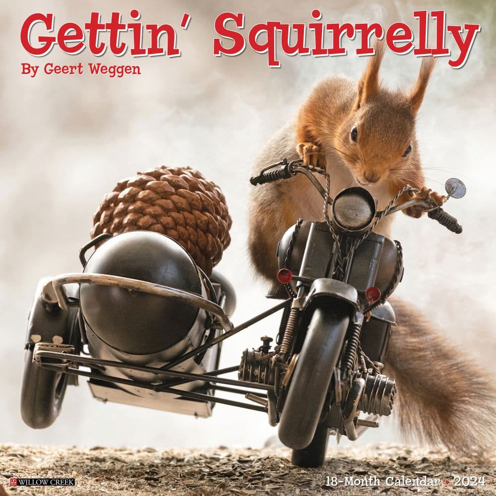 Getting Squirrelly 2024 Wall Calendar Main Image width=&quot;1000&quot; height=&quot;1000&quot;