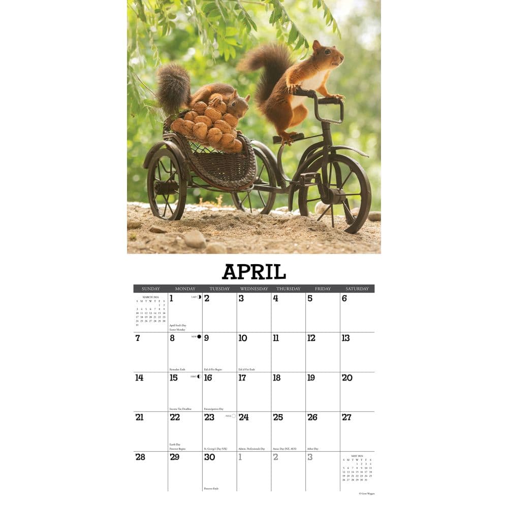 Getting Squirrelly 2024 Wall Calendar Interior Image width=&quot;1000&quot; height=&quot;1000&quot;