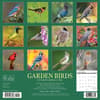 image Birds Garden 2024 Wall Calendar Back of Calendar width=&quot;1000&quot; height=&quot;1000&quot;