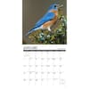 image Birds Garden 2024 Wall Calendar Interior Image width=&quot;1000&quot; height=&quot;1000&quot;